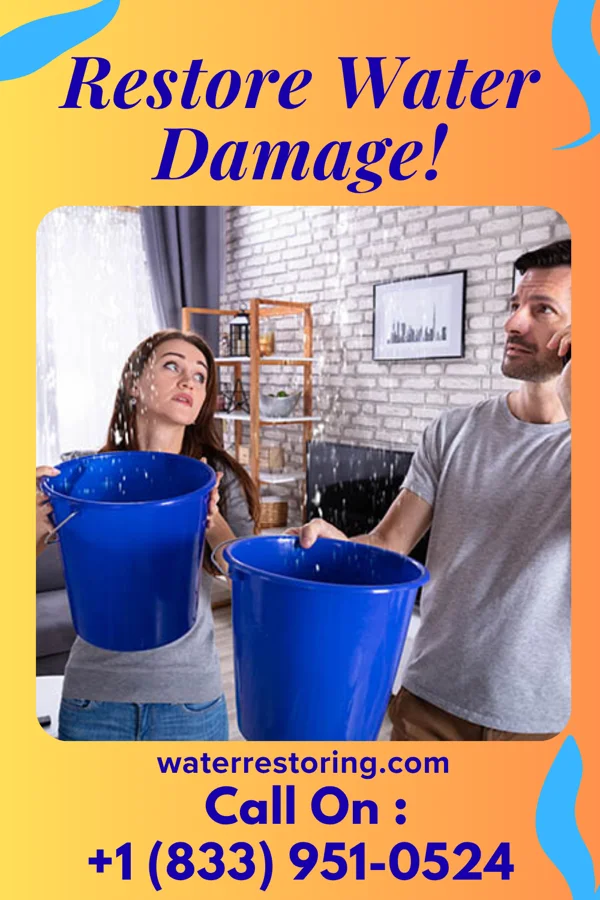 water restoration Stellar Restoration Professionals Palermo