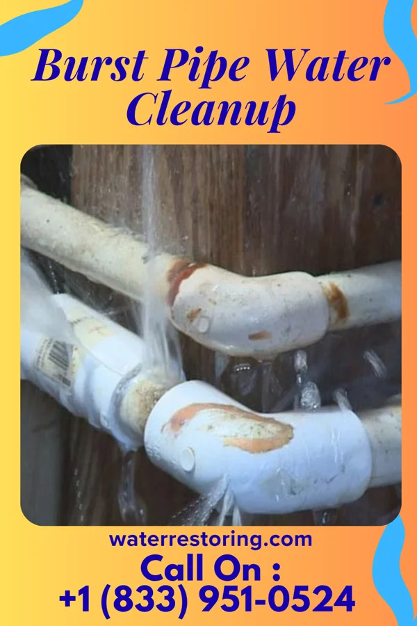 Burst Pipe Water Cleanup in Palermo, NJ