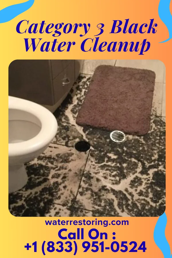 Category 3 Black Water Cleanup in Palermo, NJ