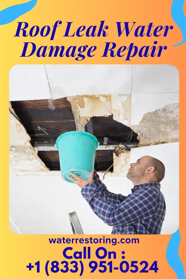 Roof Leak Water Damage Repair in Palermo, NJ